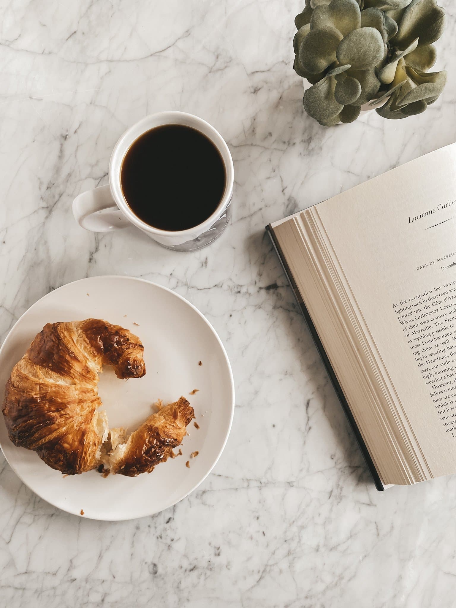 Eleven Books I’ve Read This Year
