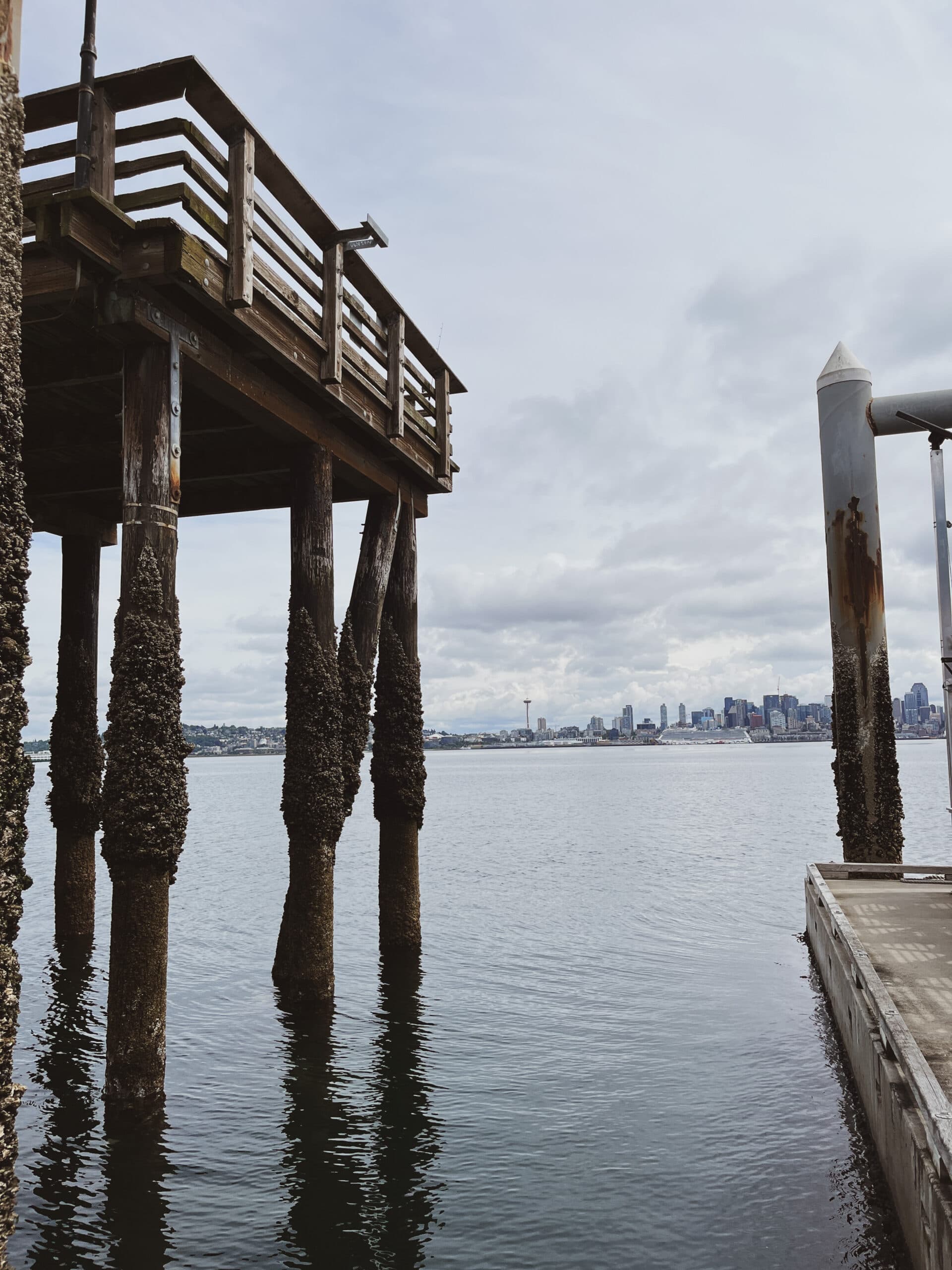 One Month In Seattle: Life Update