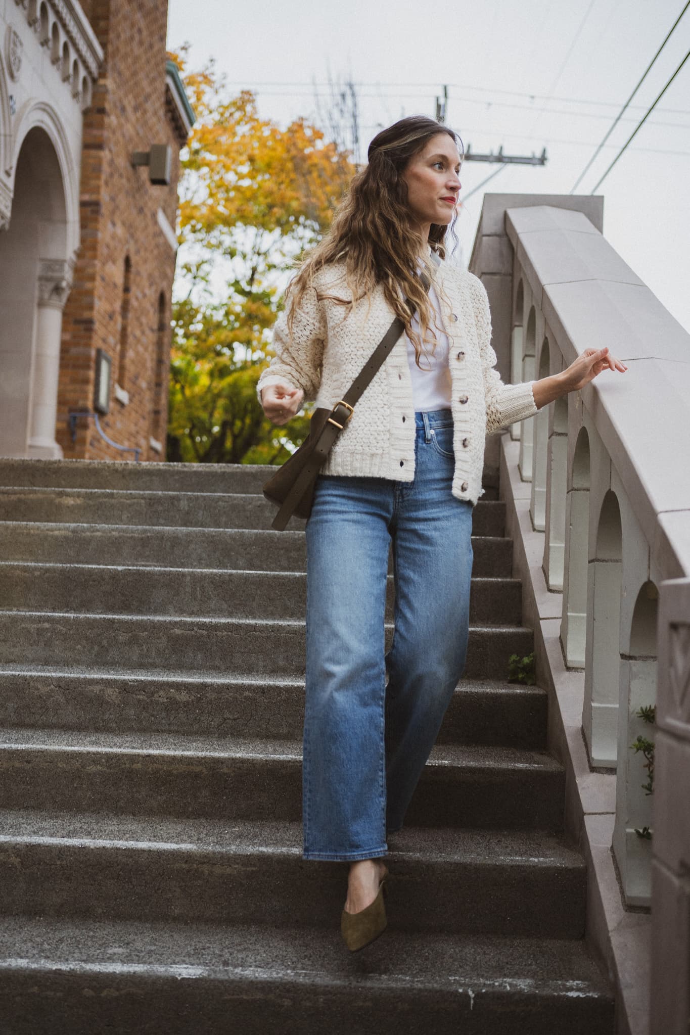 Daily Look 11.3.23