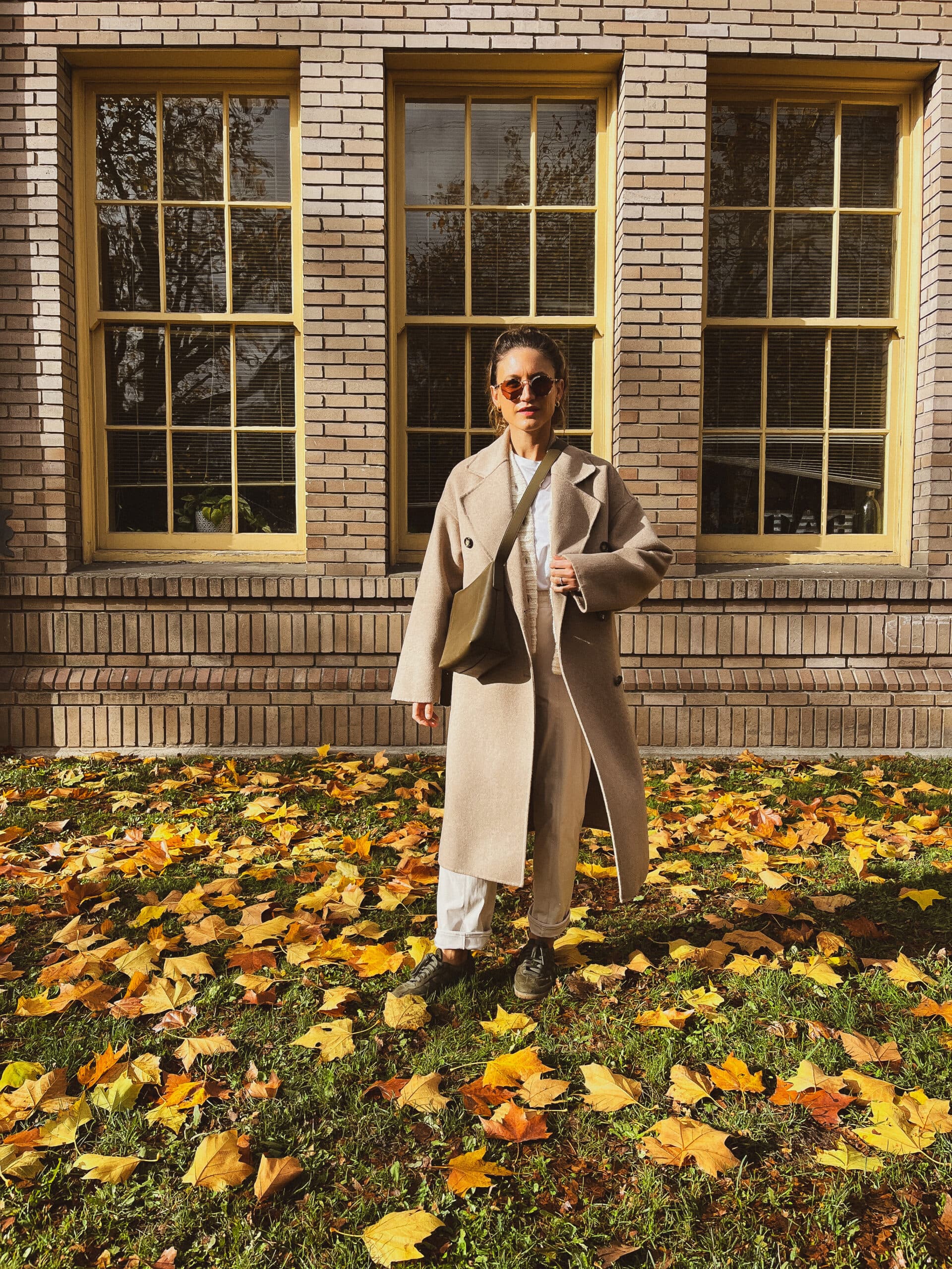 Daily Look 11.11.23