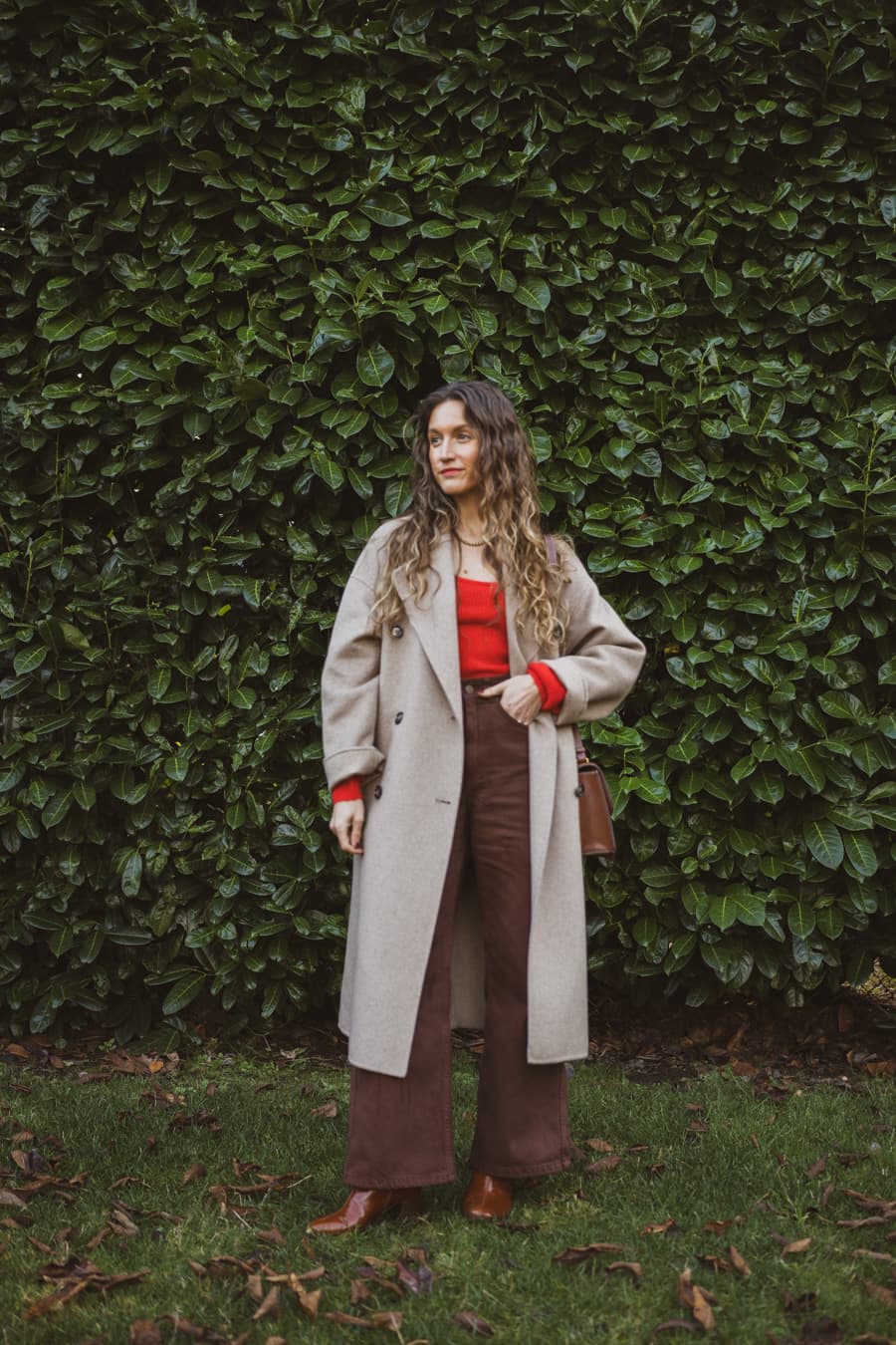 Daily Look 12.12.23