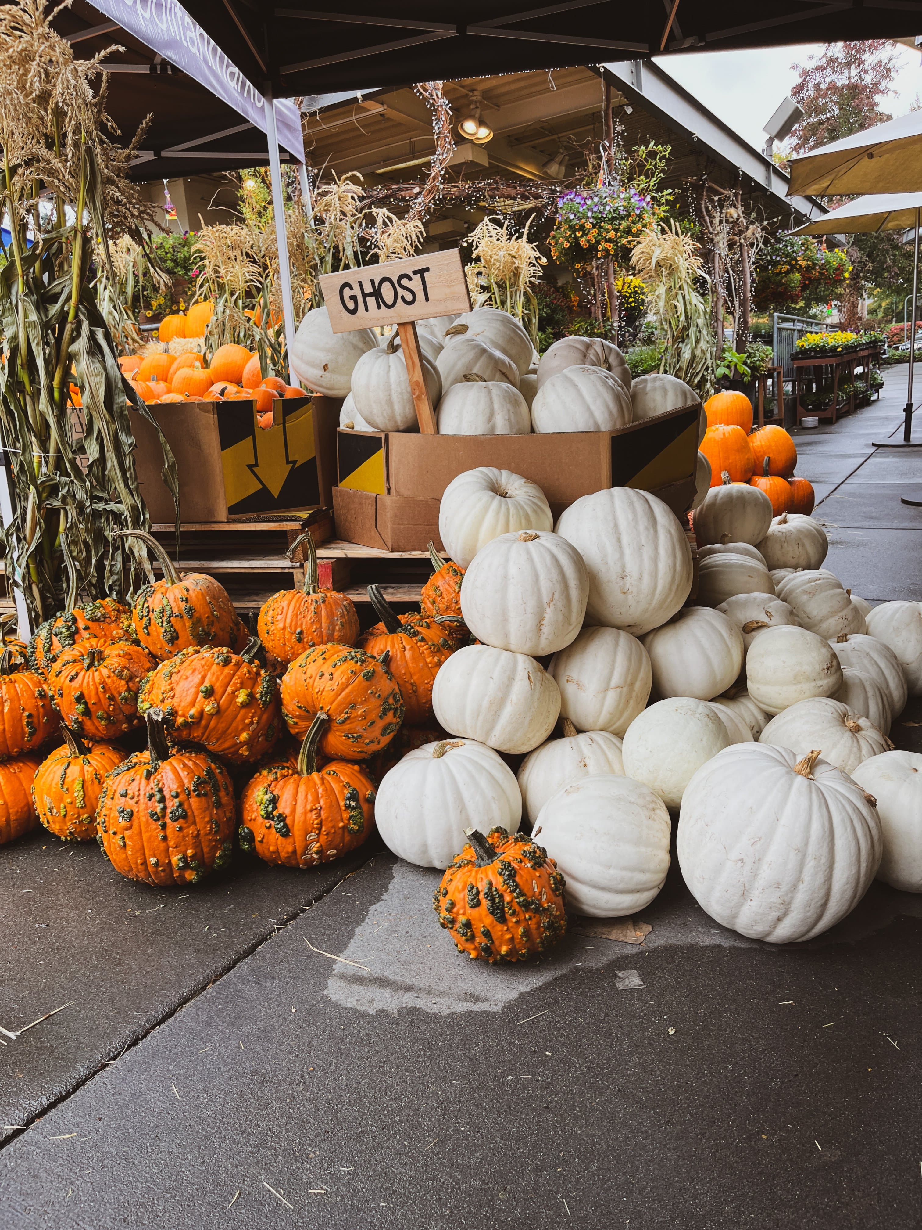Twenty Fall Activities To Enjoy The Season