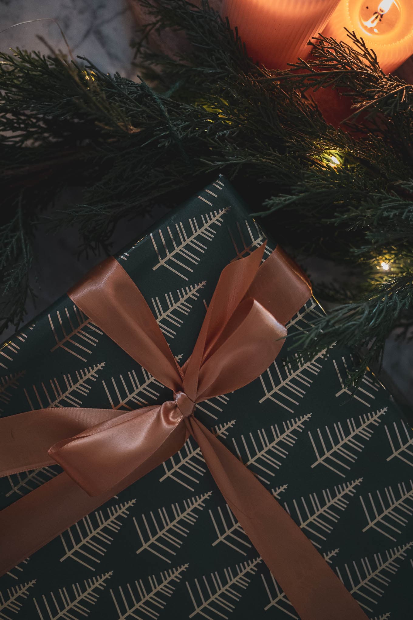 Ashley’s Christmas Wishlist