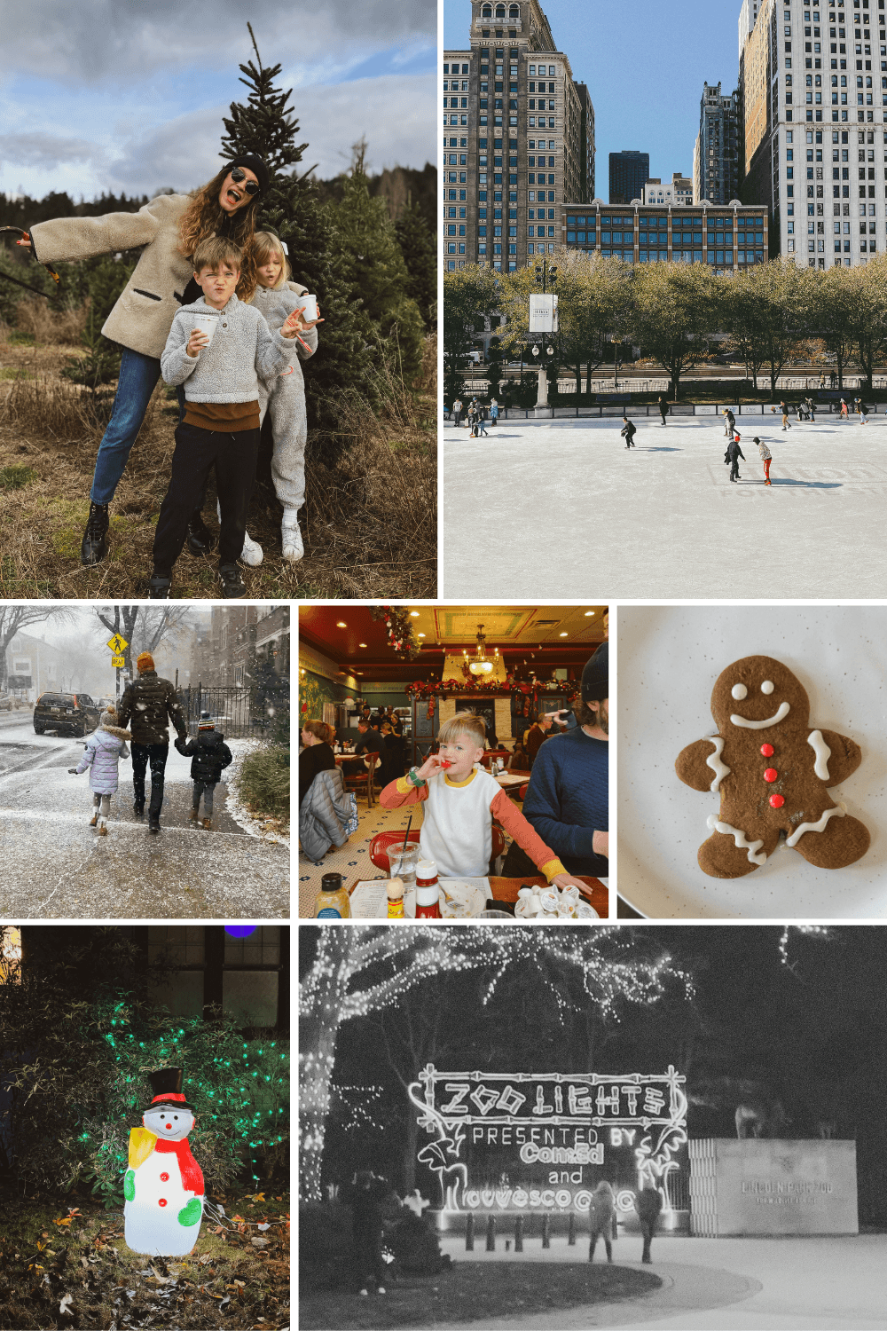 My Chicago Holiday Bucket List