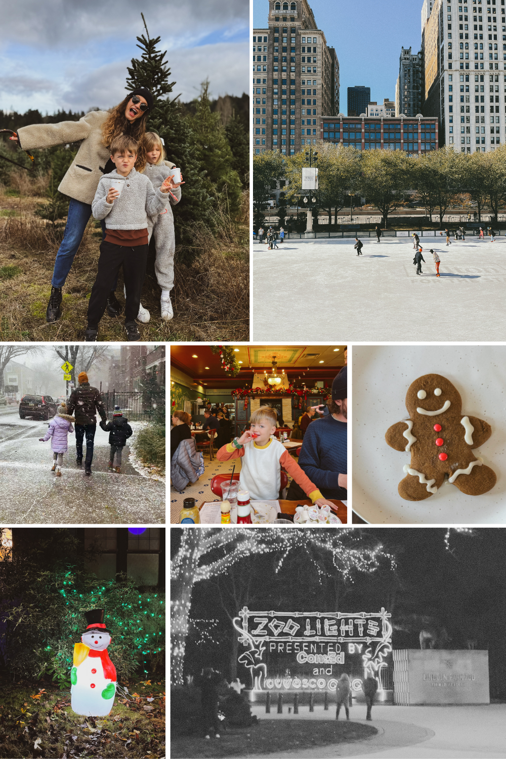 Chicago holiday bucket list